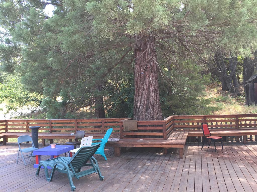 Yosemite International Hostel Groveland Ngoại thất bức ảnh